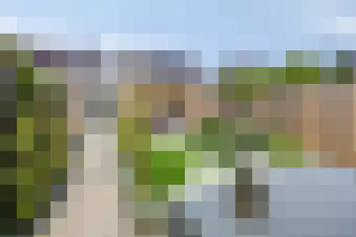 Koolwitje 21 Apeldoorn thumbnail 4