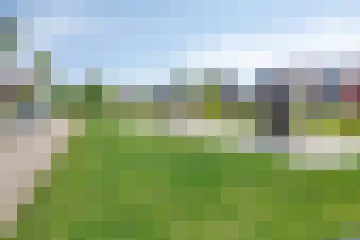 Koolwitje 21 Apeldoorn thumbnail 40