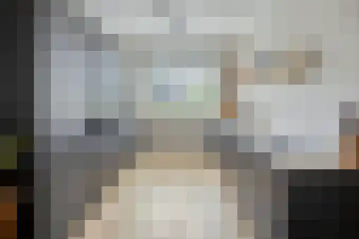 Koolwitje 21 Apeldoorn thumbnail 5