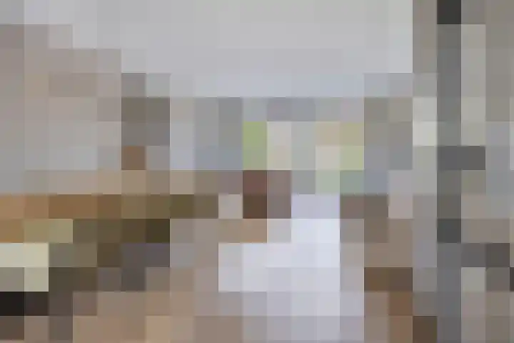 Koolwitje 21 Apeldoorn thumbnail 6