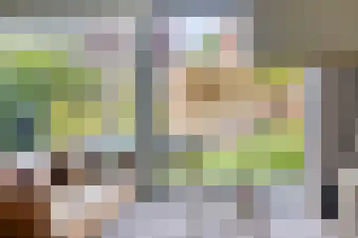 Koolwitje 21 Apeldoorn thumbnail 7