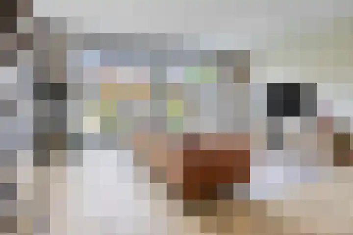 Koolwitje 21 Apeldoorn thumbnail 8