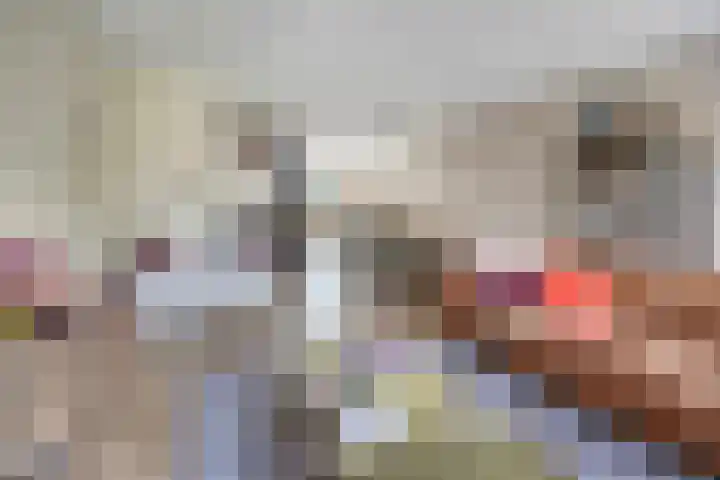 Koolwitje 21 Apeldoorn thumbnail 9