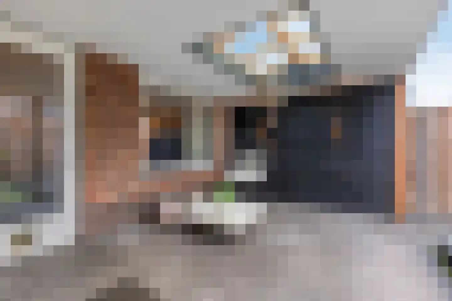 Koolwitje 27 Mierlo thumbnail 14