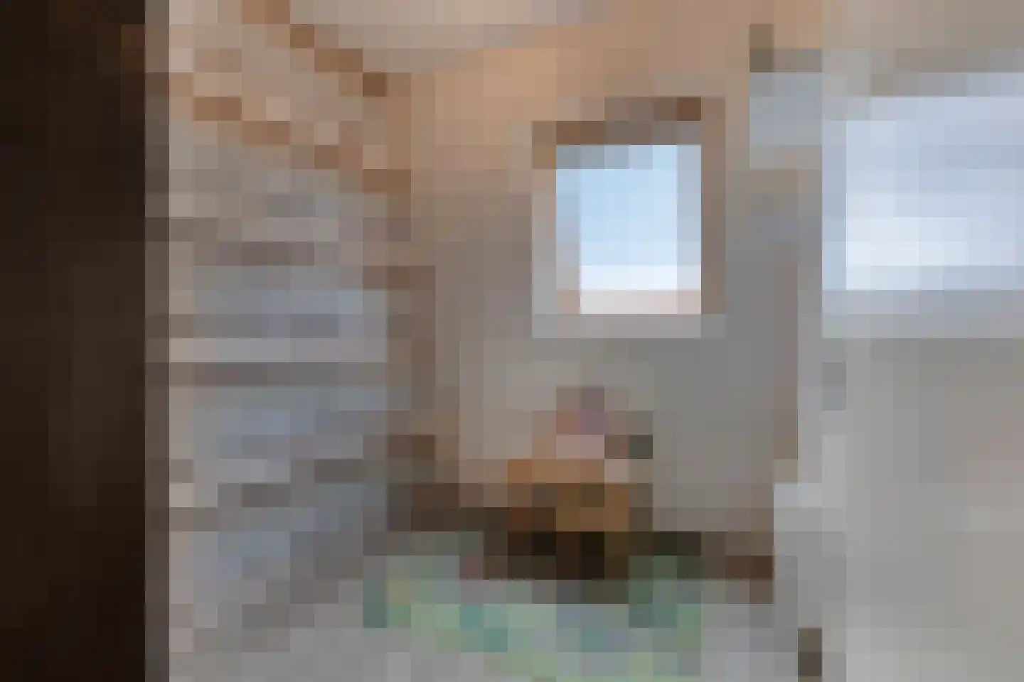 Koolwitje 27 Mierlo thumbnail 23