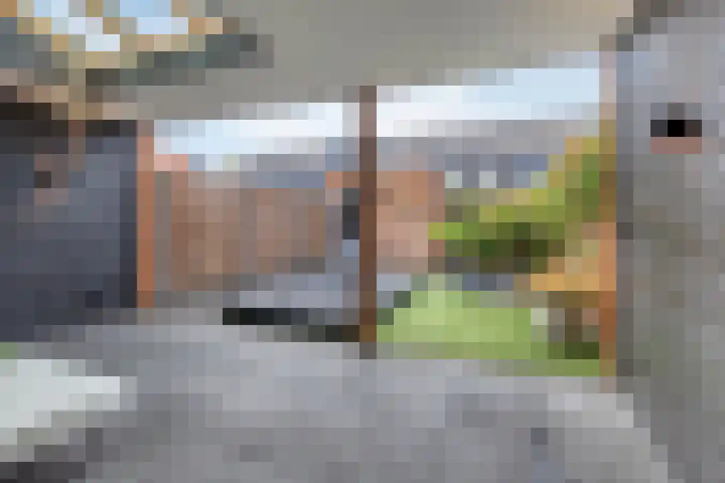 Koolwitje 27 Mierlo thumbnail 30