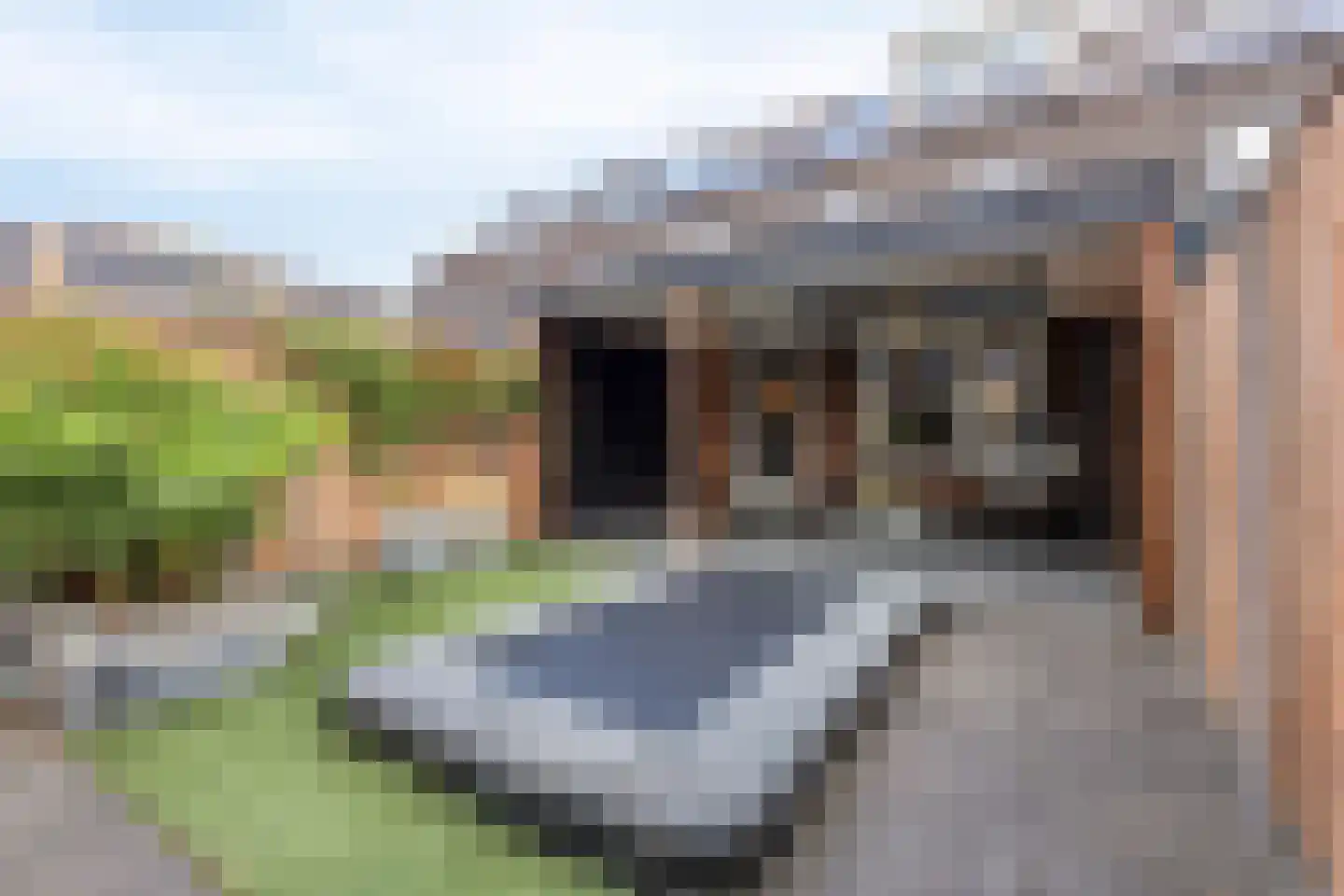 Koolwitje 27 Mierlo thumbnail 31