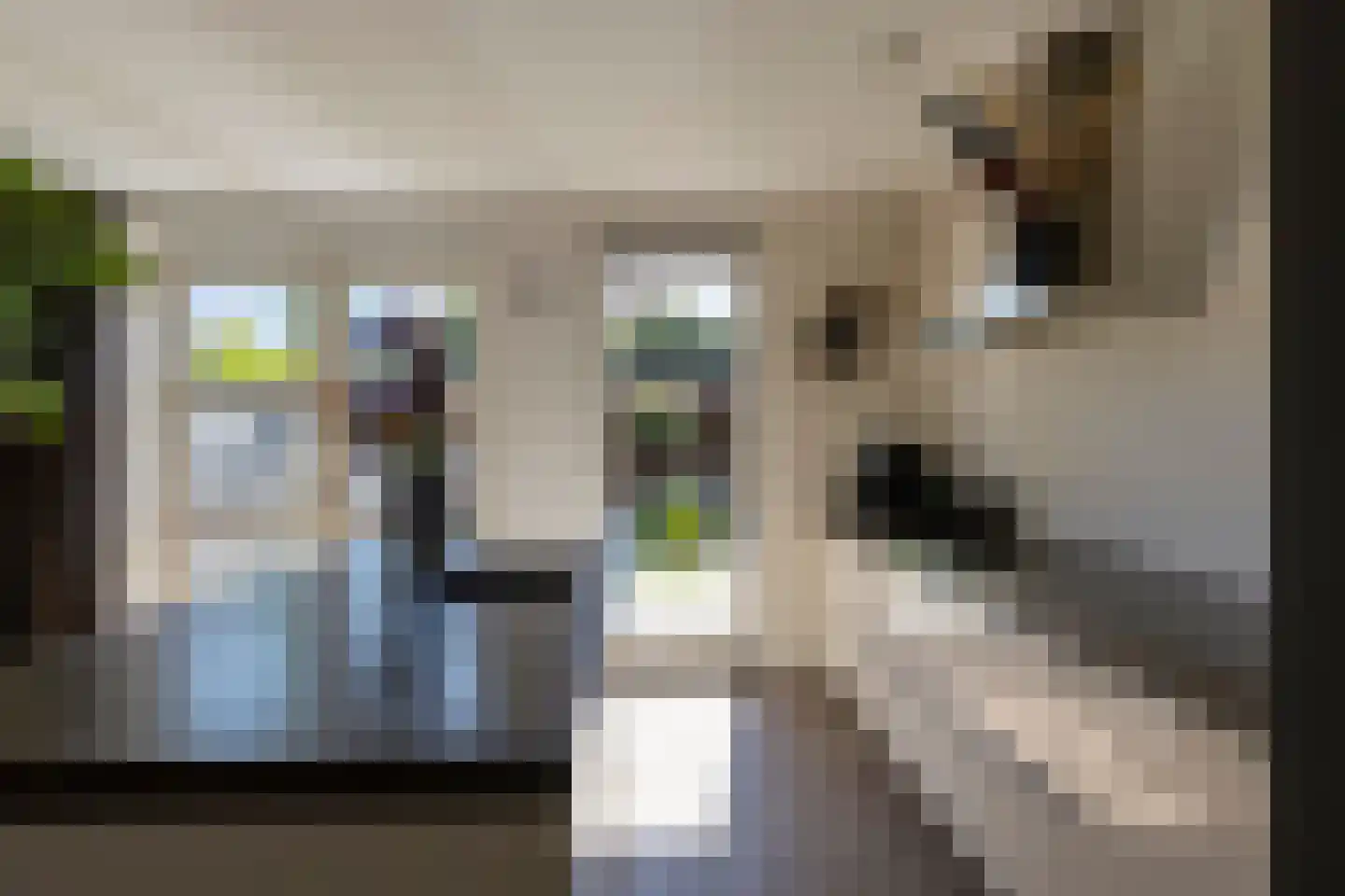 Koolwitje 30 Someren thumbnail 18