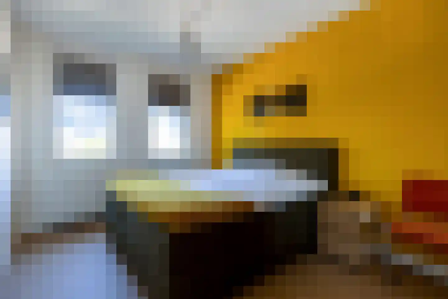 Koolwitje 30 Someren thumbnail 19
