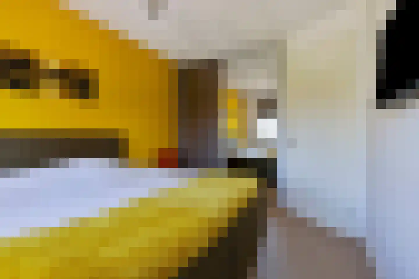 Koolwitje 30 Someren thumbnail 21