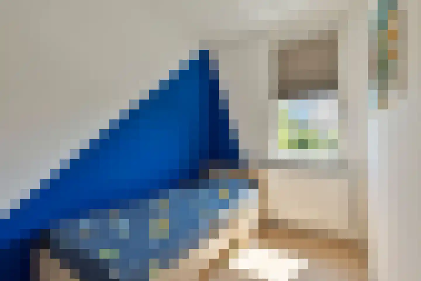 Koolwitje 30 Someren thumbnail 25