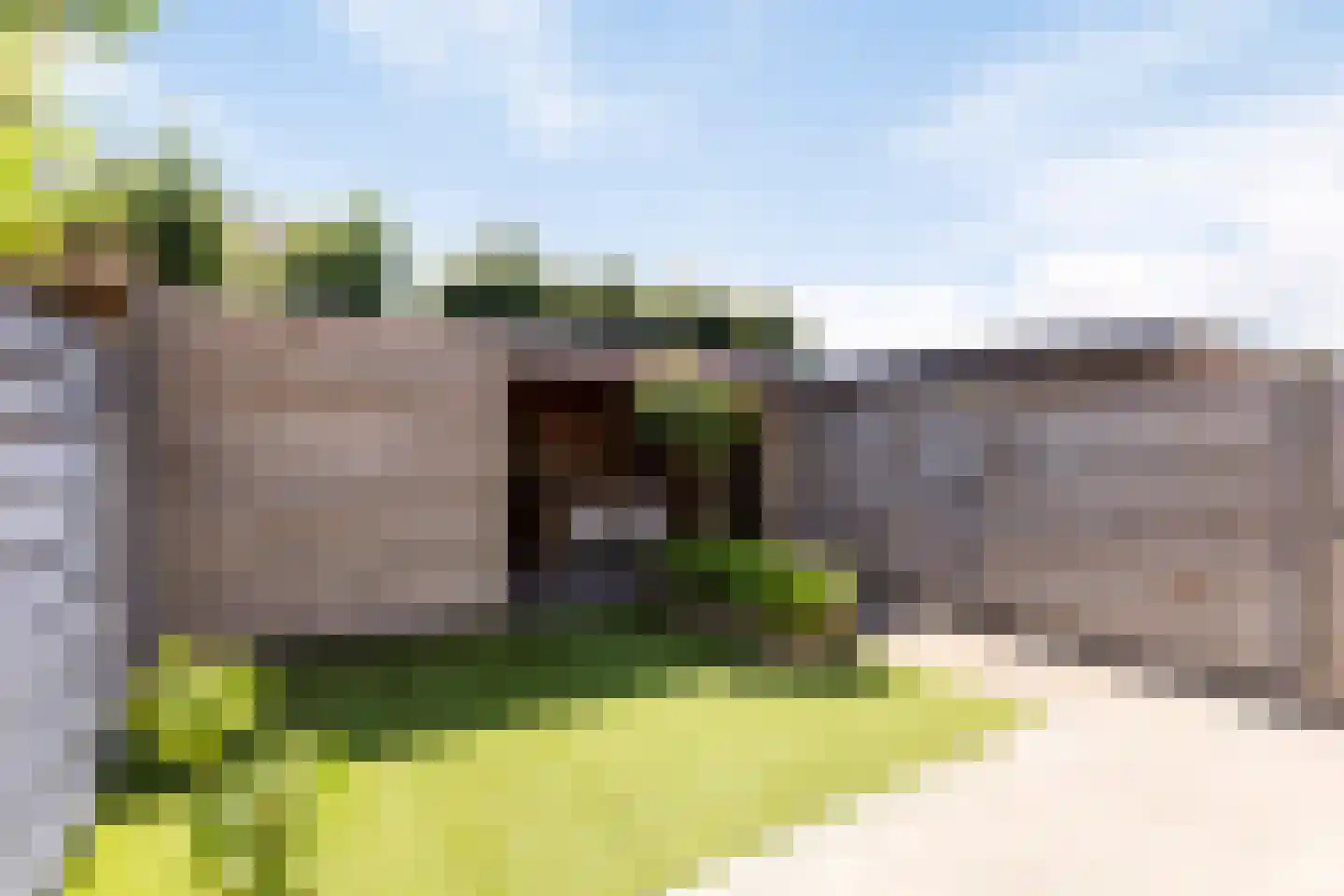 Koolwitje 30 Someren thumbnail 30