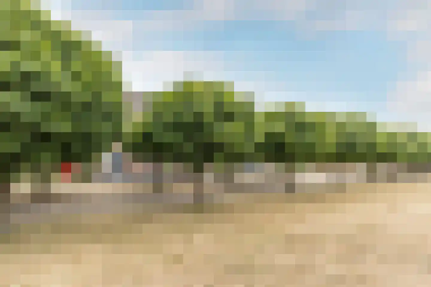 Koolwitje 31 Hellevoetsluis thumbnail 5