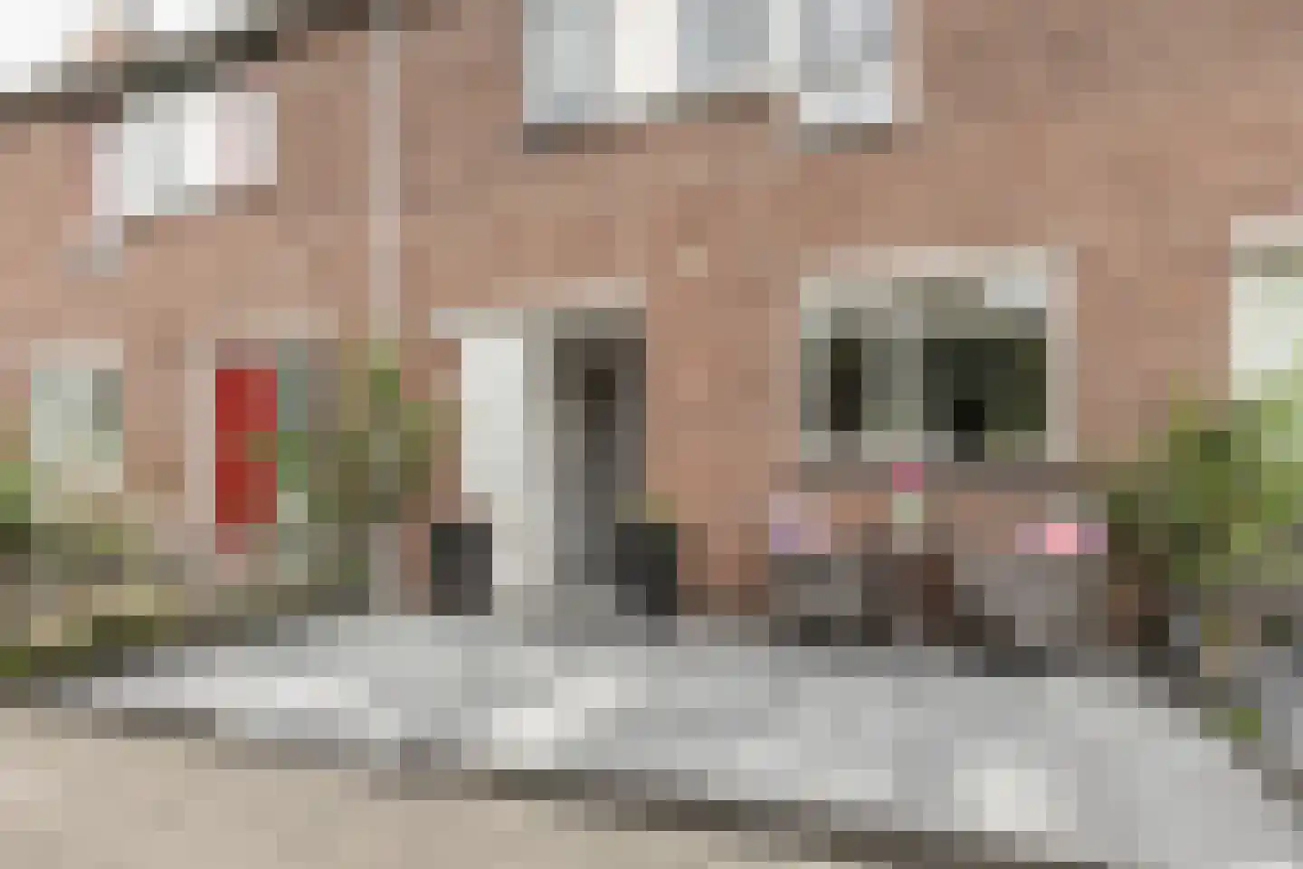 Koolwitje 31 Hellevoetsluis thumbnail 7