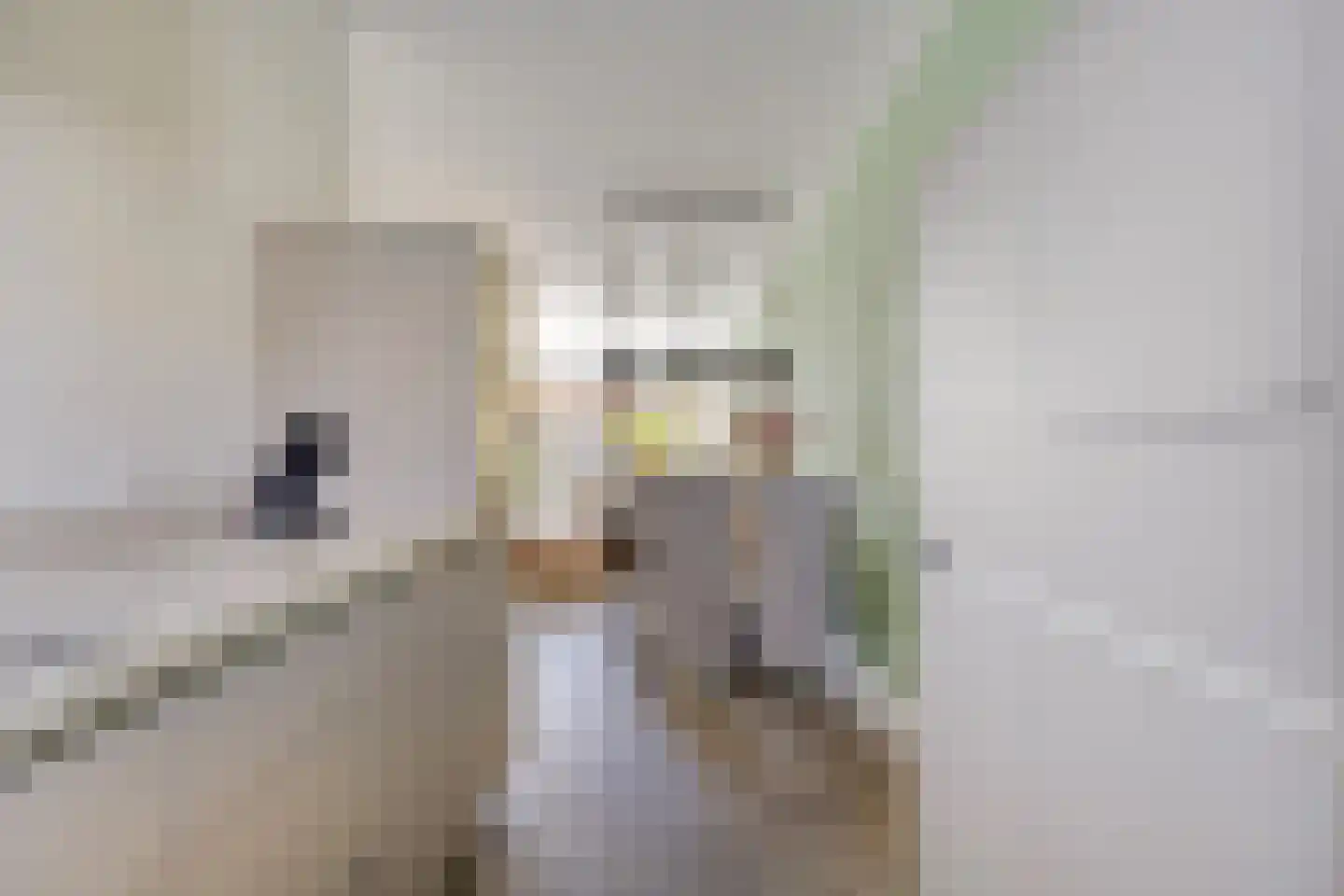 Koolwitje 32 Someren thumbnail 12