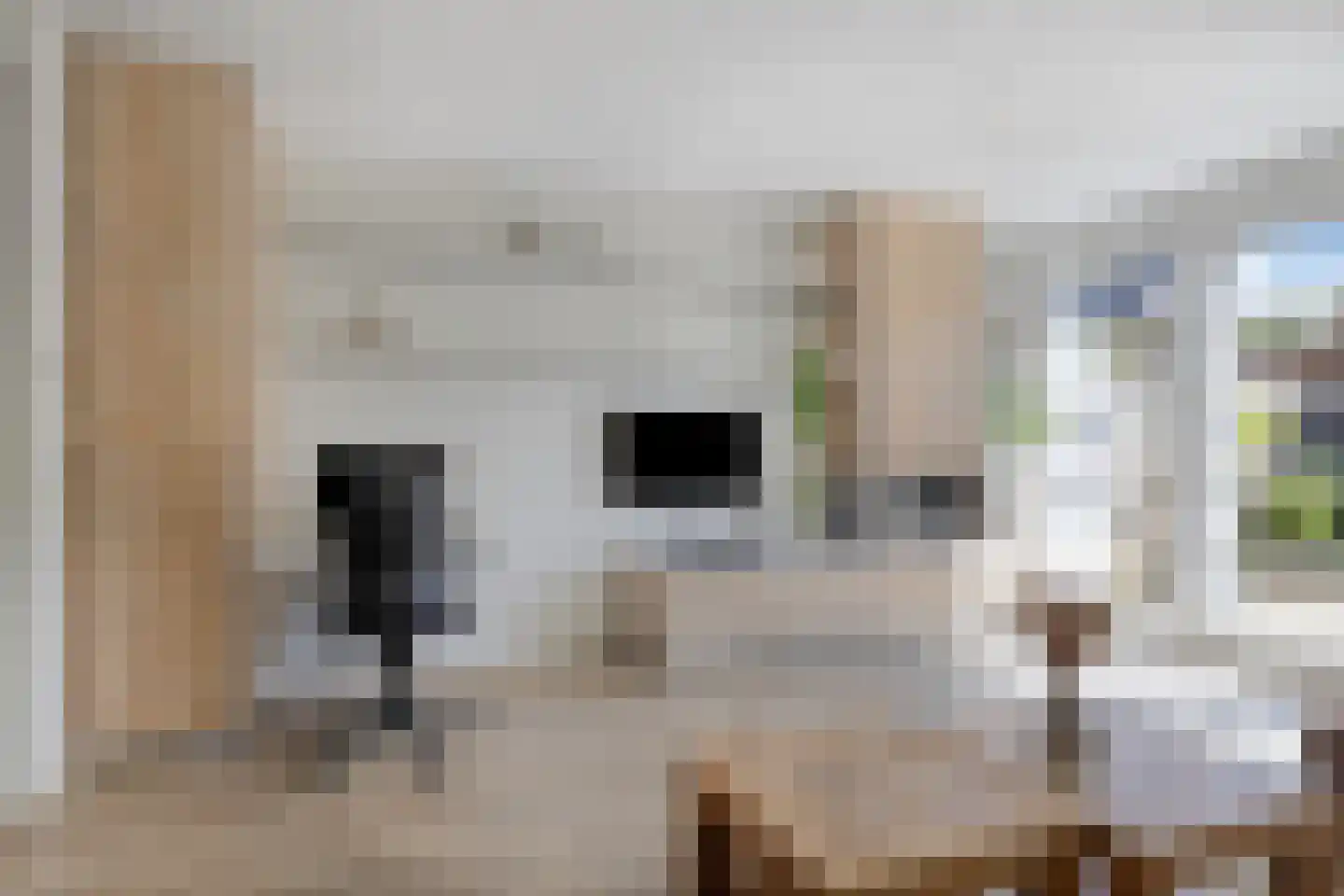 Koolwitje 32 Someren thumbnail 15