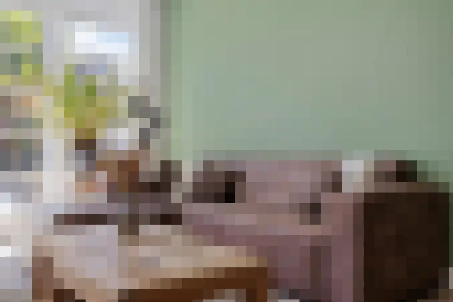 Koolwitje 32 Someren thumbnail 16