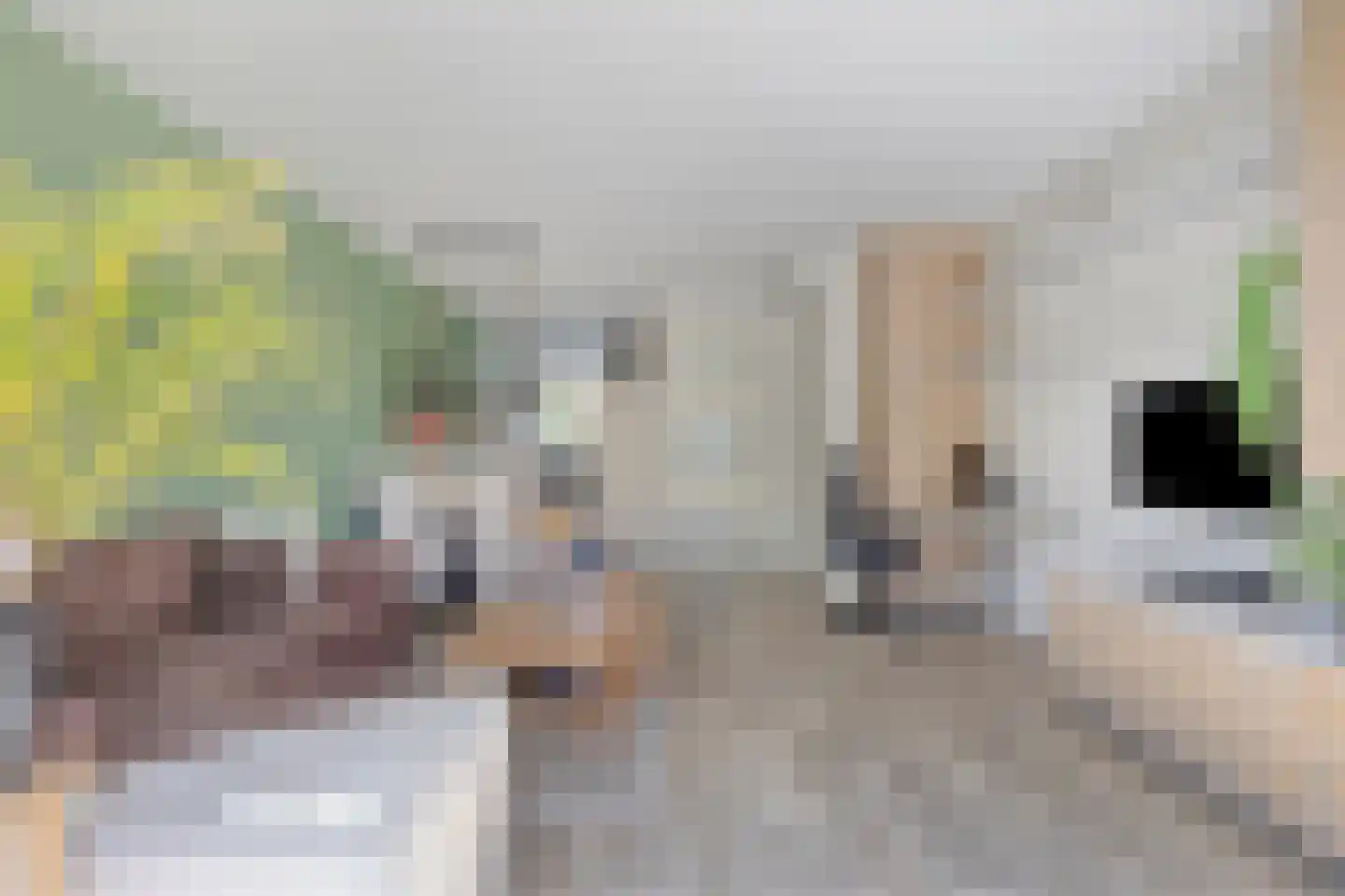 Koolwitje 32 Someren thumbnail 19