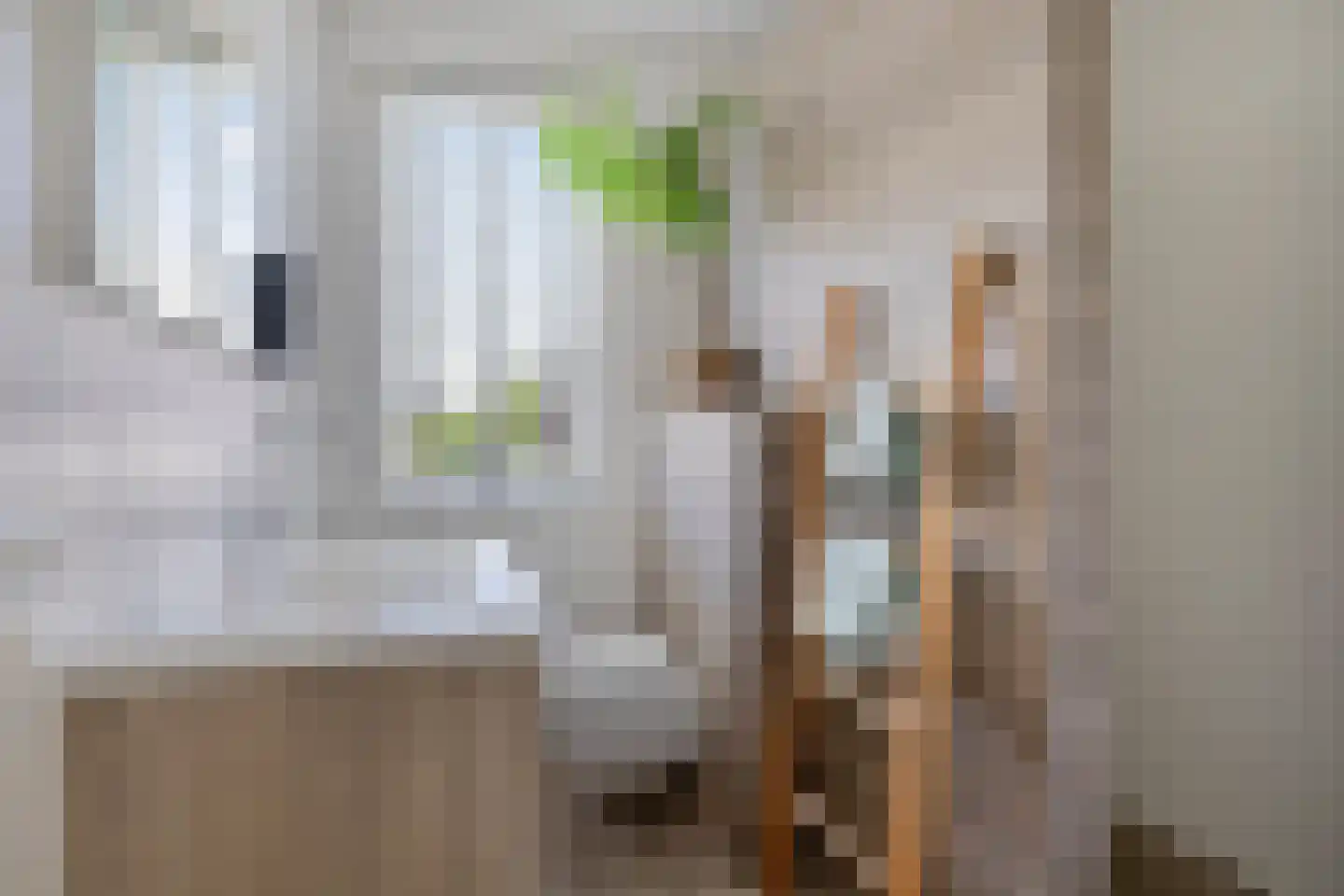 Koolwitje 32 Someren thumbnail 23
