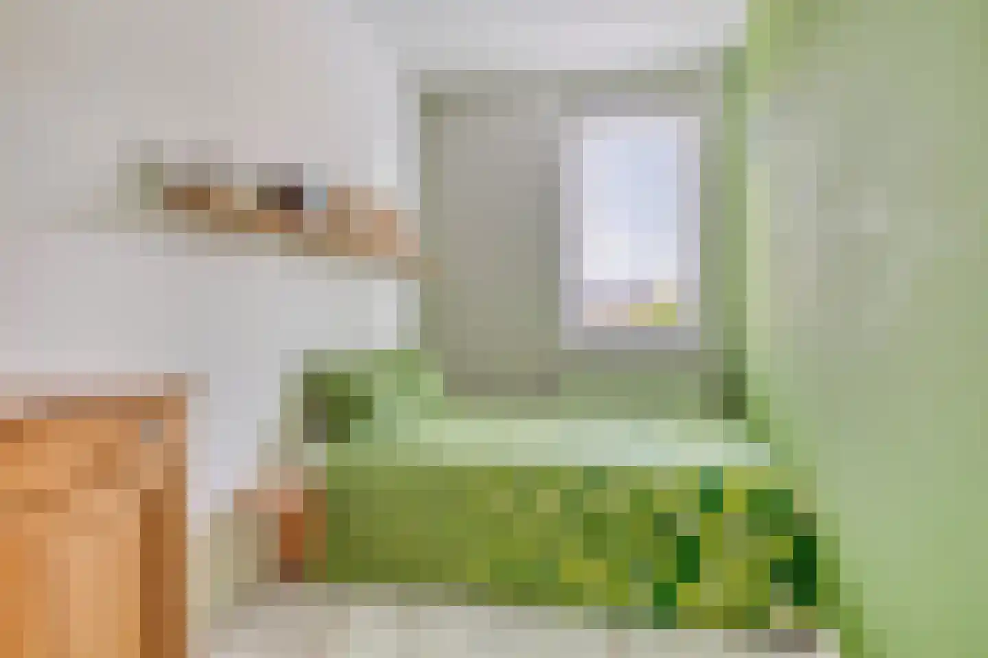 Koolwitje 32 Someren thumbnail 25