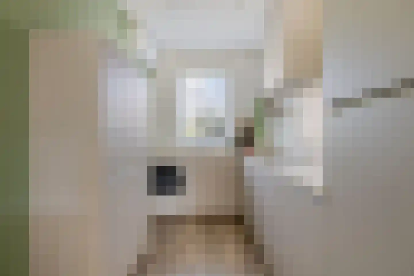 Koolwitje 32 Someren thumbnail 9