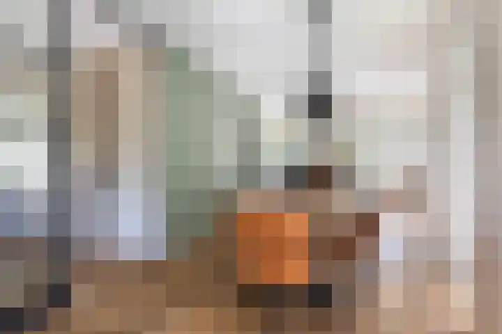 Koolwitje 33 Apeldoorn thumbnail 11