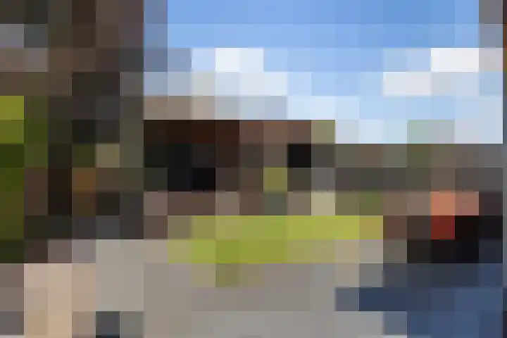 Koolwitje 33 Apeldoorn thumbnail 15