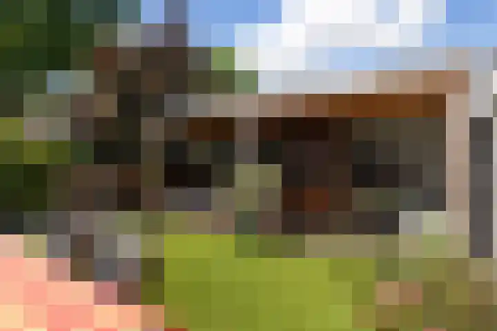 Koolwitje 33 Apeldoorn thumbnail 17