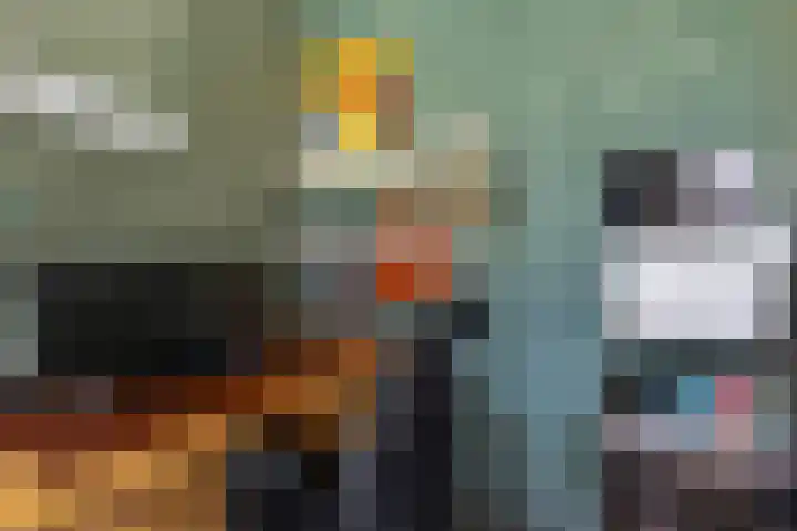 Koolwitje 33 Apeldoorn thumbnail 19