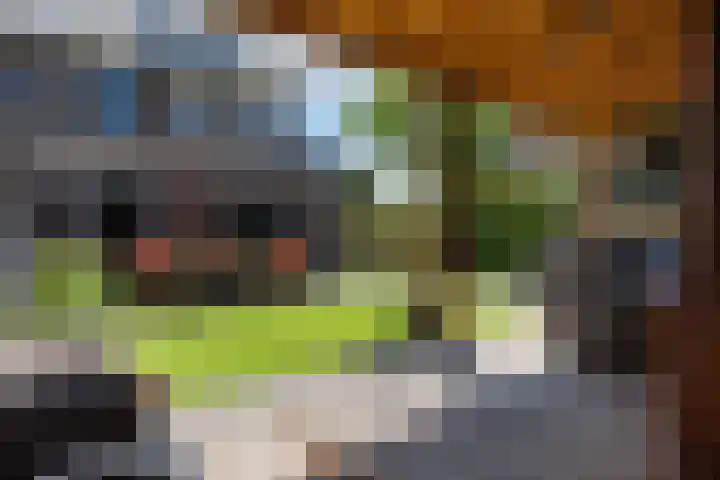Koolwitje 33 Apeldoorn thumbnail 20