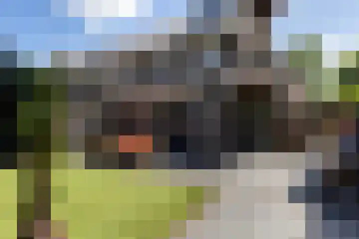 Koolwitje 33 Apeldoorn thumbnail 21