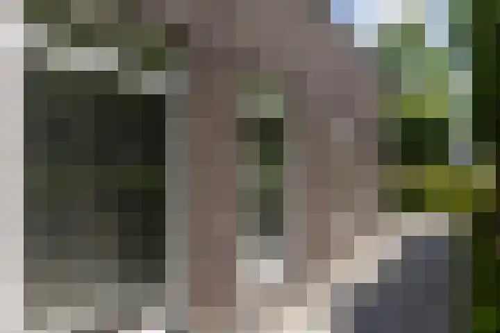 Koolwitje 33 Apeldoorn thumbnail 23