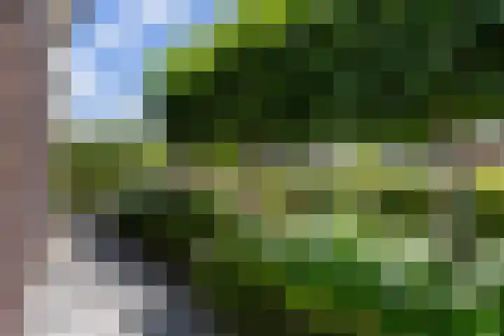 Koolwitje 33 Apeldoorn thumbnail 24