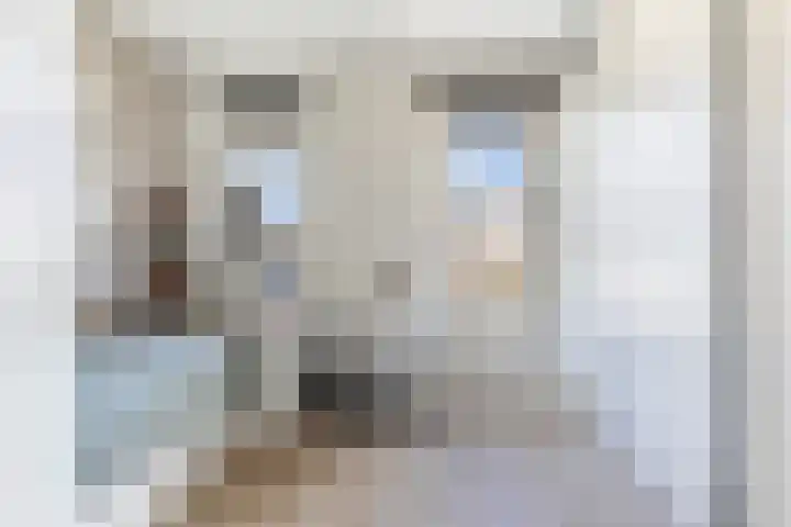 Koolwitje 33 Apeldoorn thumbnail 30