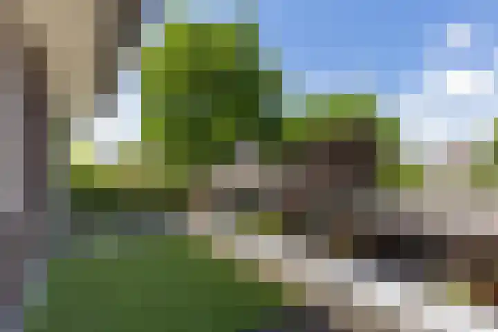 Koolwitje 33 Apeldoorn thumbnail 32