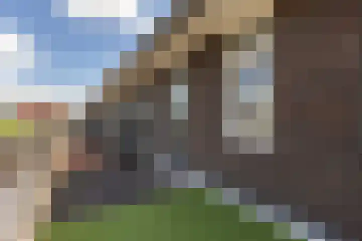 Koolwitje 33 Apeldoorn thumbnail 33