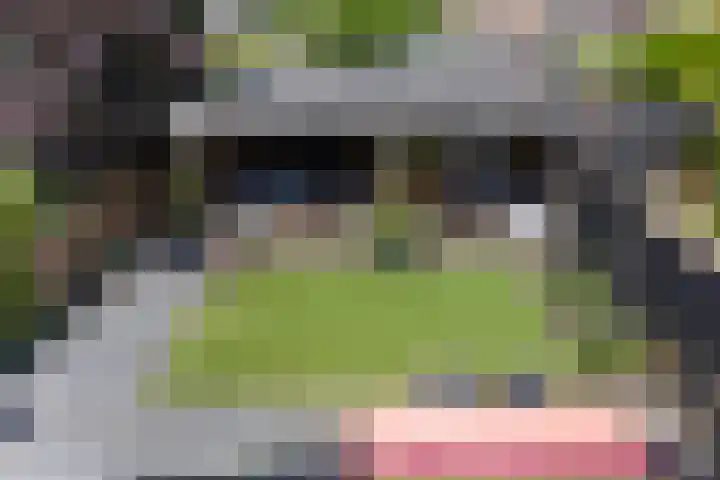 Koolwitje 33 Apeldoorn thumbnail 34
