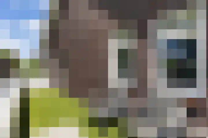 Koolwitje 33 Apeldoorn thumbnail 38