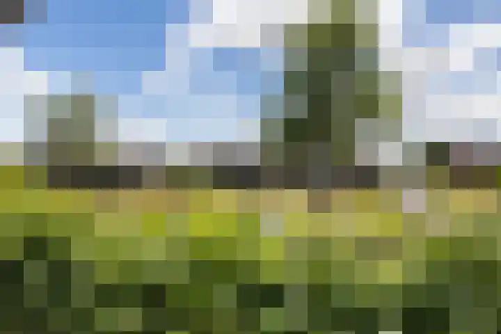 Koolwitje 33 Apeldoorn thumbnail 39