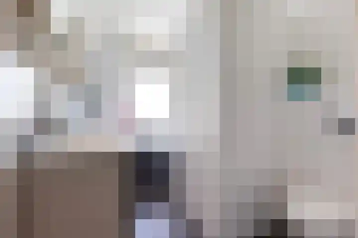 Koolwitje 33 Apeldoorn thumbnail 40