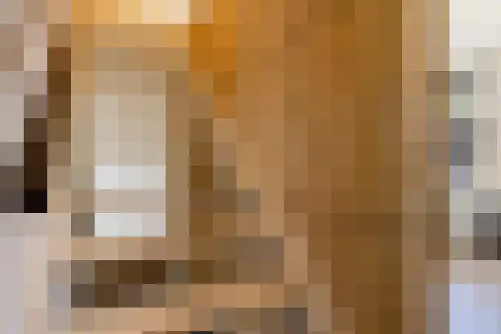 Koolwitje 33 Apeldoorn thumbnail 43