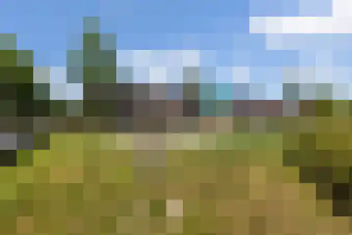 Koolwitje 33 Apeldoorn thumbnail 48