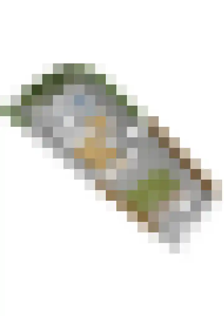 Koolwitje 33 Apeldoorn thumbnail 56