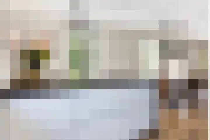 Koolwitje 33 Apeldoorn thumbnail 6
