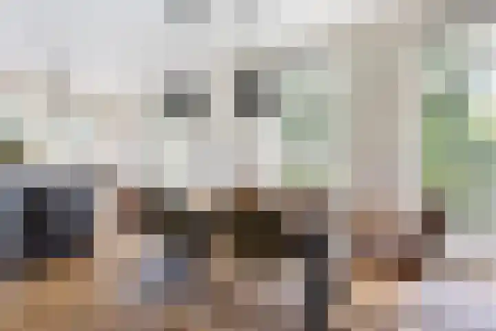 Koolwitje 33 Apeldoorn thumbnail 8