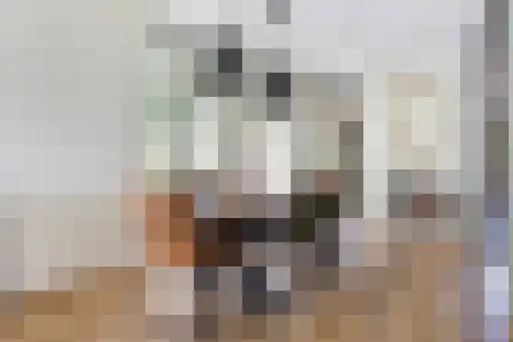 Koolwitje 33 Apeldoorn thumbnail 9