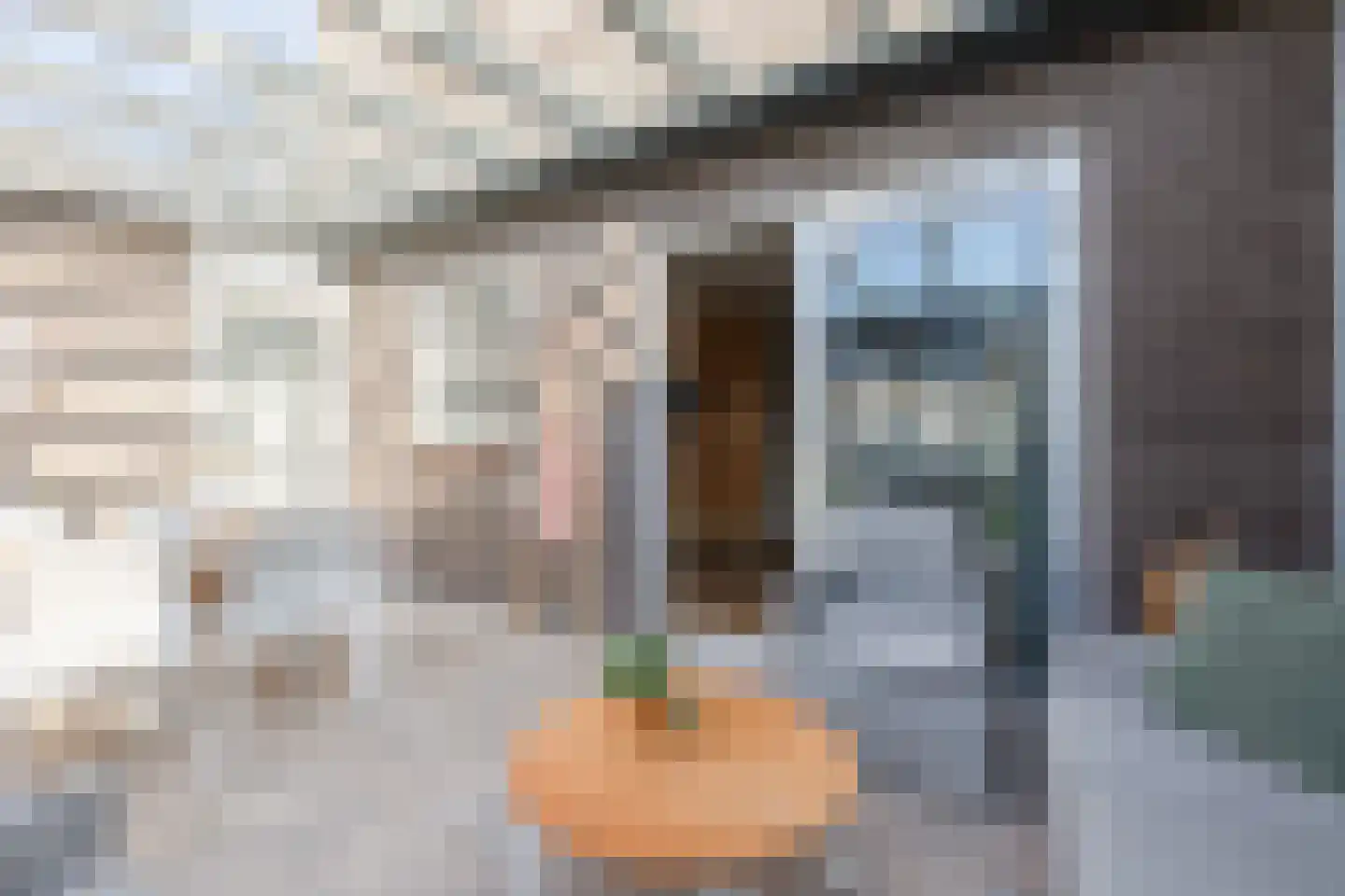 Koolwitje 4 Sneek thumbnail 32