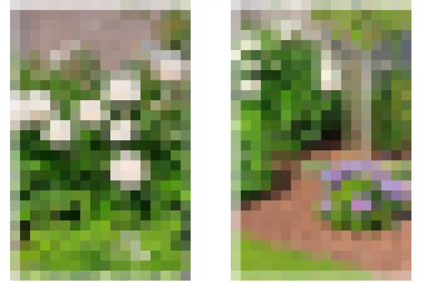 Koolwitje 4 Sneek thumbnail 38