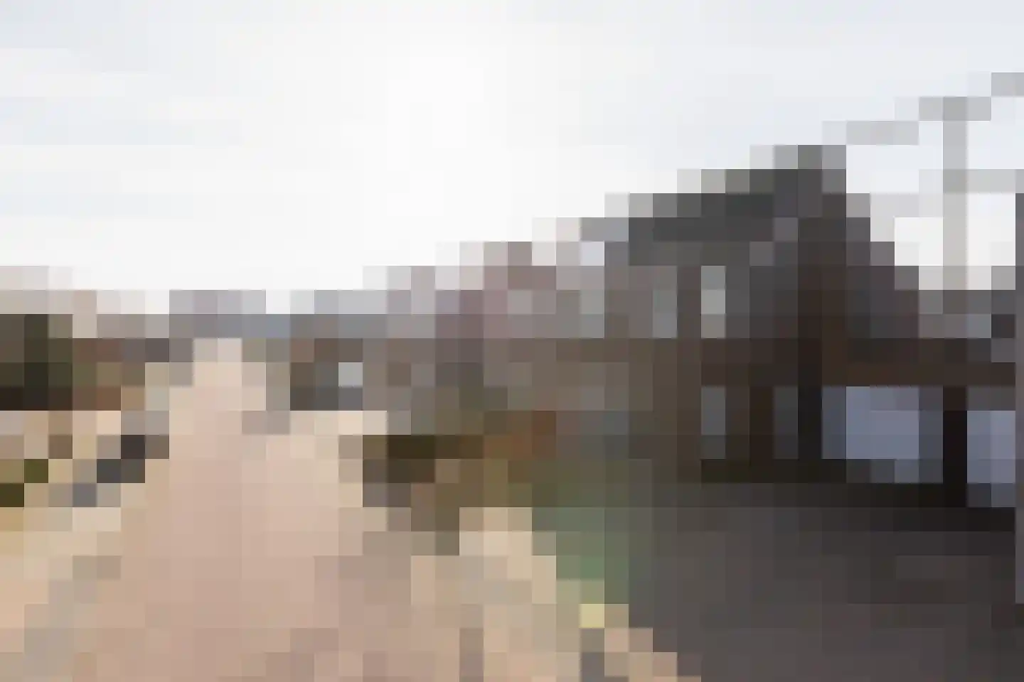 Koolwitje 4 Sneek thumbnail 45