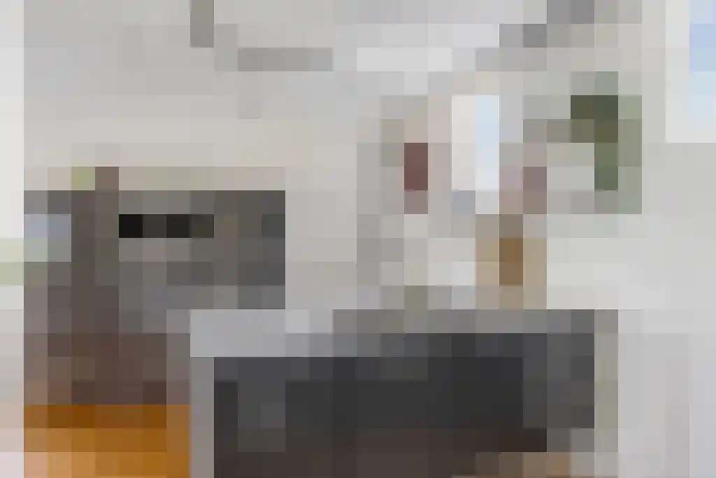 Koolwitje 54 Sneek thumbnail 15
